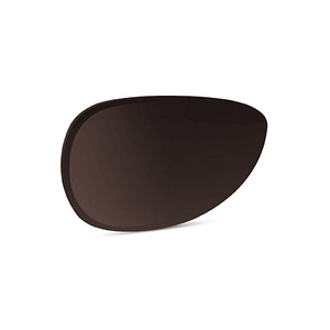 Non-prescription Tinted Lens Glasses